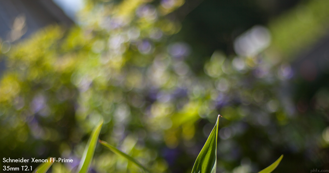 phfx_SXFFP_04_bokeh.jpg