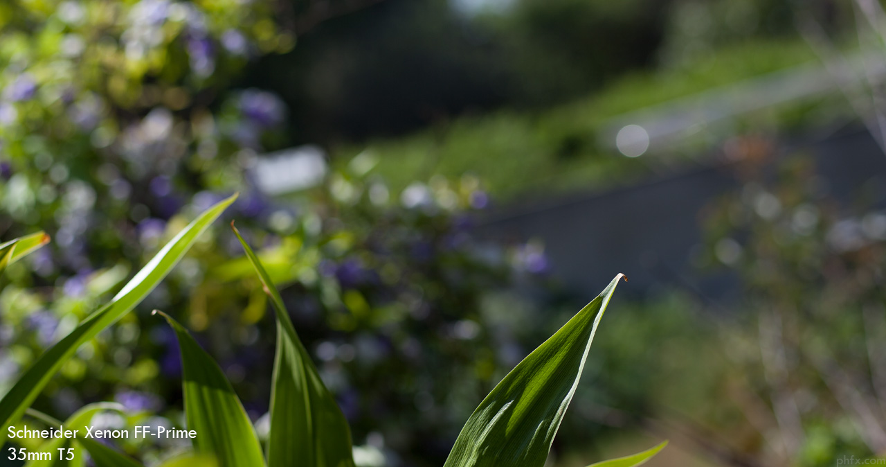 phfx_SXFFP_05_bokeh.jpg