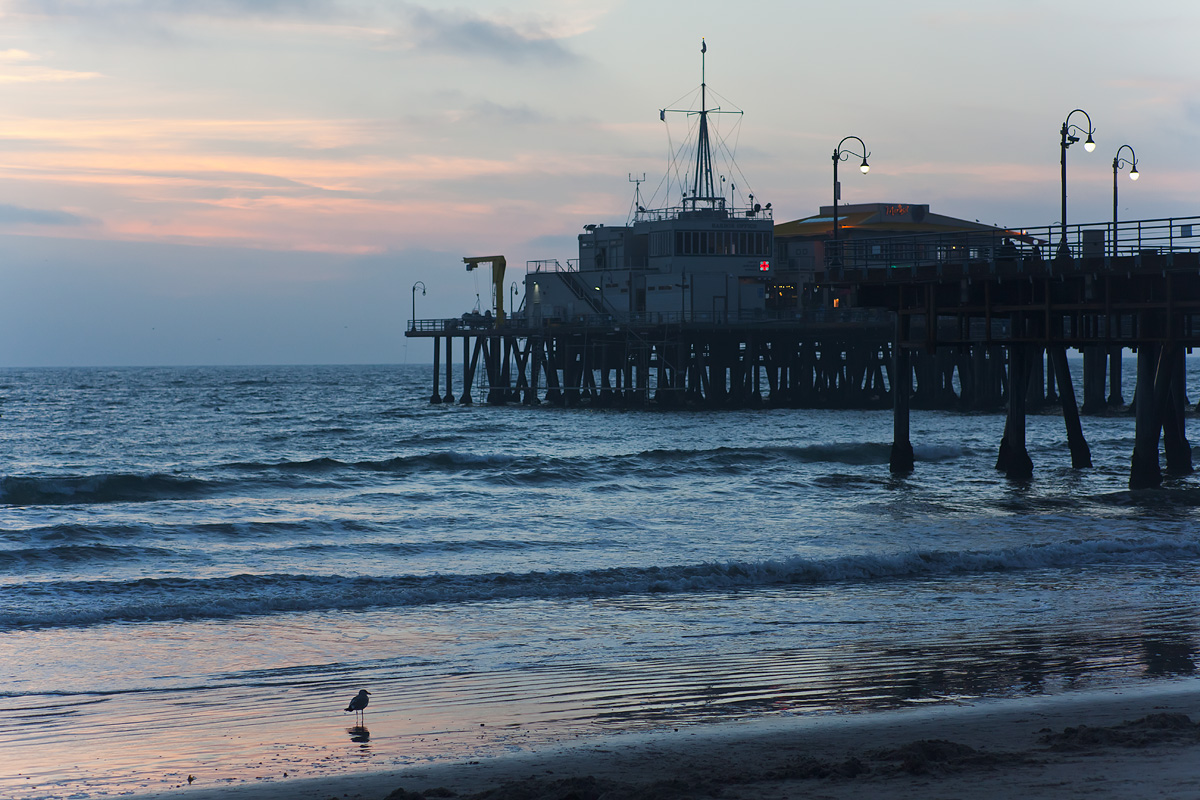 _MG_6875.jpg