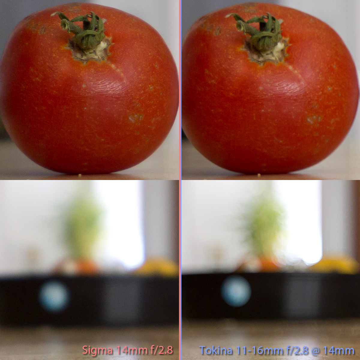 Sigma14mmTokina14mm.jpg