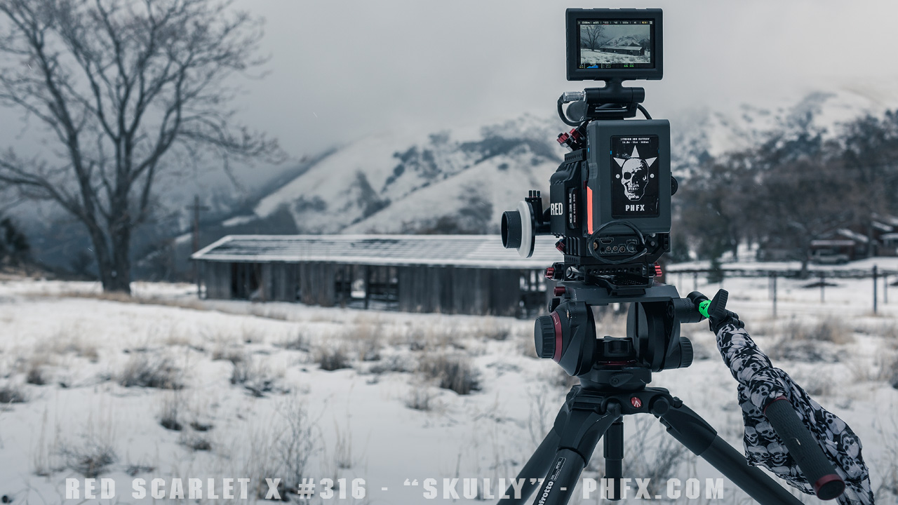snowSkully.jpg