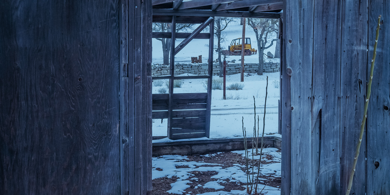 snowSkully_0002.jpg